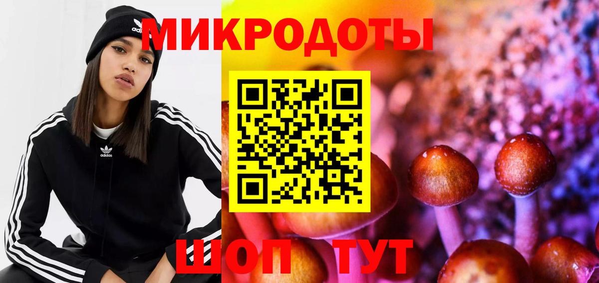 Галлюциногенные грибы Psilocybe  Вход с VPN  Тимашёвск 